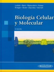 Biología Celular y Molecular 5 Edición Harvey Lodish - PDF | Solucionario