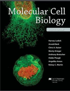 Molecular Cell Biology 8 Edición Harvey Lodish - PDF | Solucionario