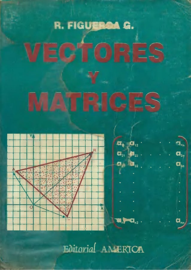 Vectores y Matrices 2 Edición Ricardo Figueroa García PDF