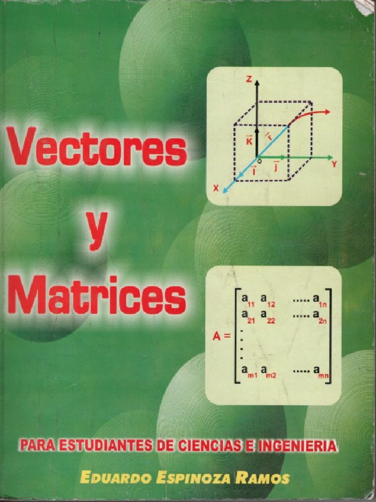 Vectores y Matrices 2 Edición Eduardo Espinoza Ramos PDF
