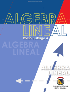 Álgebra Lineal 1 Edición Rocío Buitrago - PDF | Solucionario