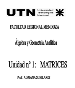 Álgebra y Geometría Analítica 1 Edición Universidad Tecnológica Nacional - PDF | Solucionario