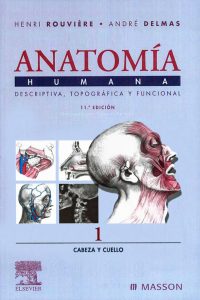 Anatomía Humana, Tomo 1: Cabeza y Cuello 11 Edición Henri Rouvière - PDF | Solucionario