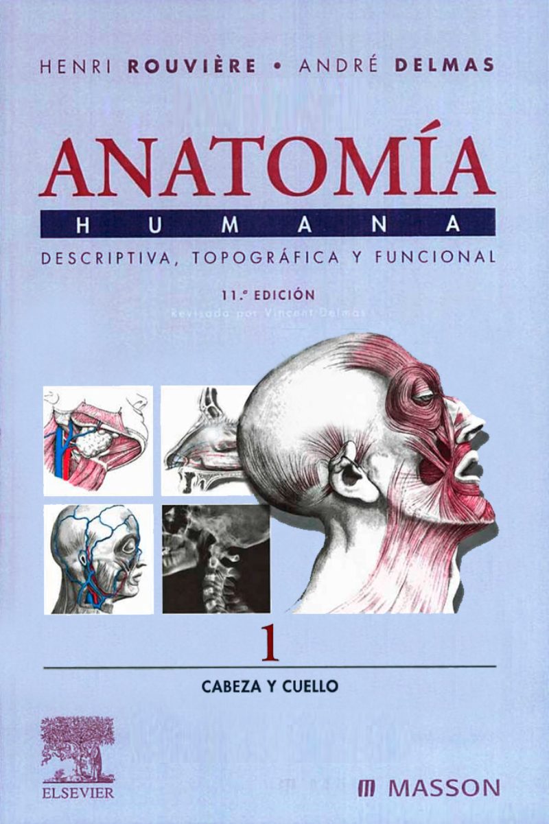 Anatomía Humana, Tomo 1: Cabeza y Cuello 11 Edición Henri Rouvière PDF