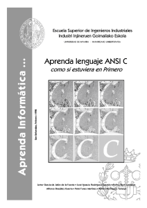 Aprenda Lenguaje ANSI C Como si Estuviera en Primero 1 Edición Javier García de Jalón - PDF | Solucionario