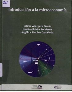 Introducción a la Microeconomía 1 Edición Leticia Velásquez - PDF | Solucionario