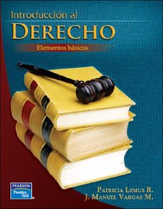 Introducción al Derecho: Elementos Básicos 1 Edición Patricia L. Raya - PDF | Solucionario
