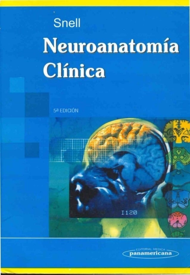 Neuroanatomía Clínica 5 Edición Richard S. Snell PDF