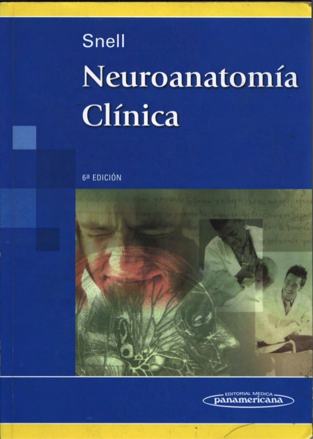 Neuroanatomía Clínica 6 Edición Richard S. Snell PDF