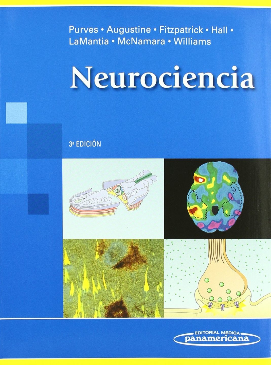 Neurociencia 3 Edición Dale Purves PDF