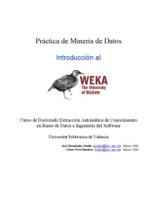 Práctica de Minería de Datos Introducción a Weka 1 Edición José Hernandez - PDF | Solucionario