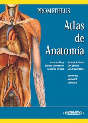 Prometheus Atlas de Anatomía 1 Edición Anne M. Gilroy PDF