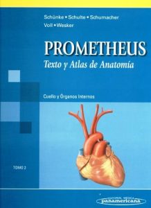 Prometheus Texto y Atlas de Anatomía (Tomo 2): Cuello y Órganos Internos 1 Edición Michael Schünke - PDF | Solucionario